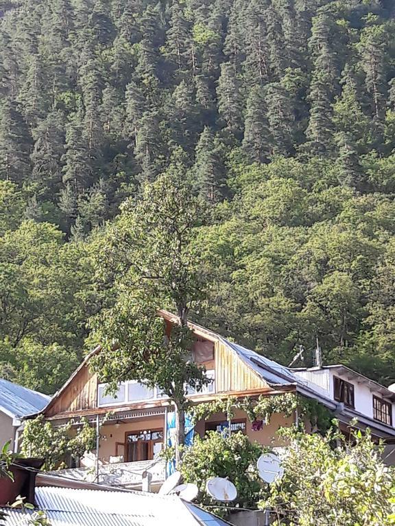 Rachvela'S Guest House Borjomi Luaran gambar