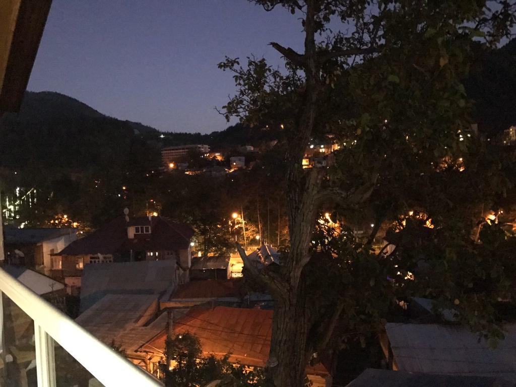 Rachvela'S Guest House Borjomi Luaran gambar